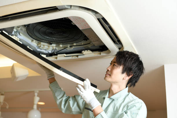 Best Affordable Duct Cleaning Services  in Zionsville, IN